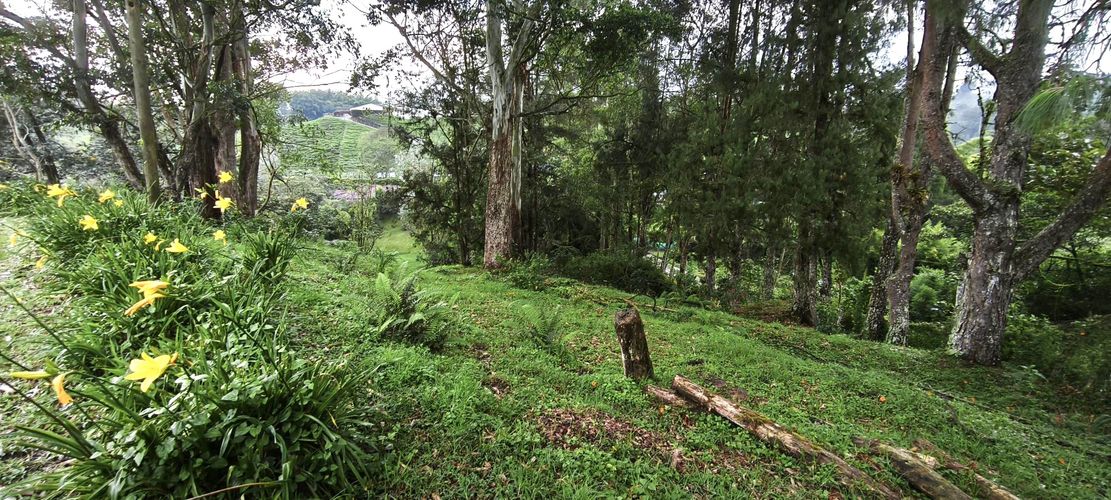 Finca en venta en Pantanillo, El Retiro, 8400 m² · foto 20 de 24