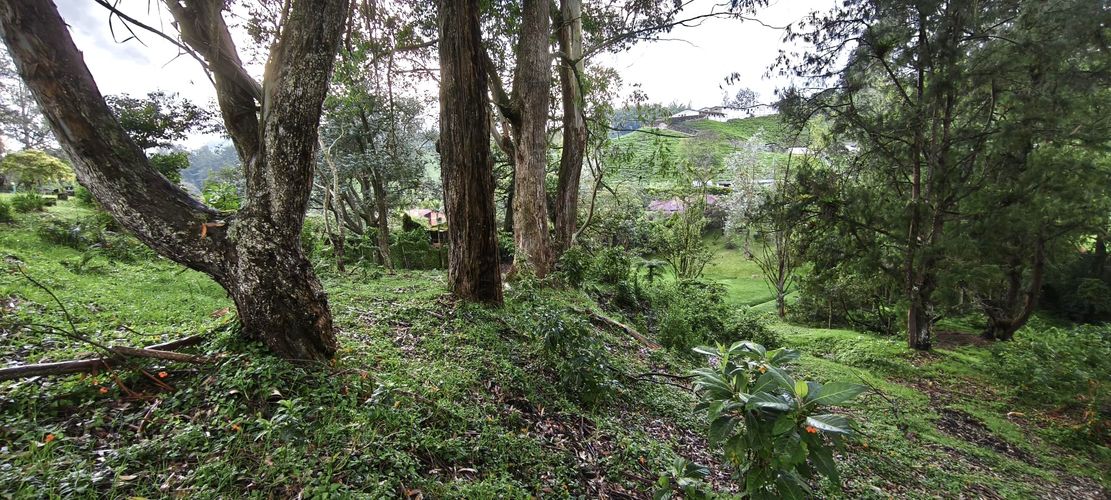 Finca en venta en Pantanillo, El Retiro, 8400 m² · foto 23 de 24