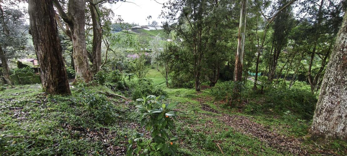Finca en venta en Pantanillo, El Retiro, 8400 m² · foto 24 de 24