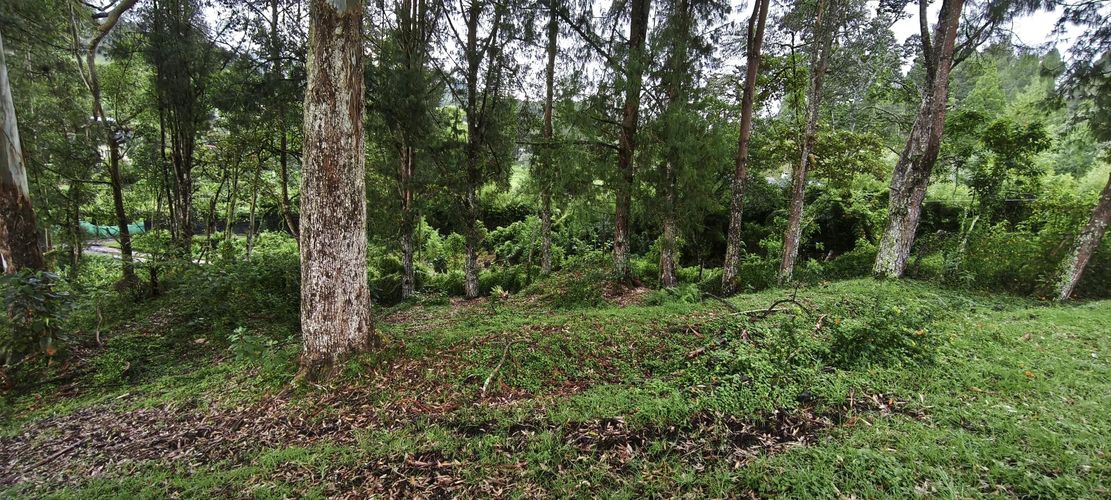 Finca en venta en Pantanillo, El Retiro, 8400 m² · foto 22 de 24