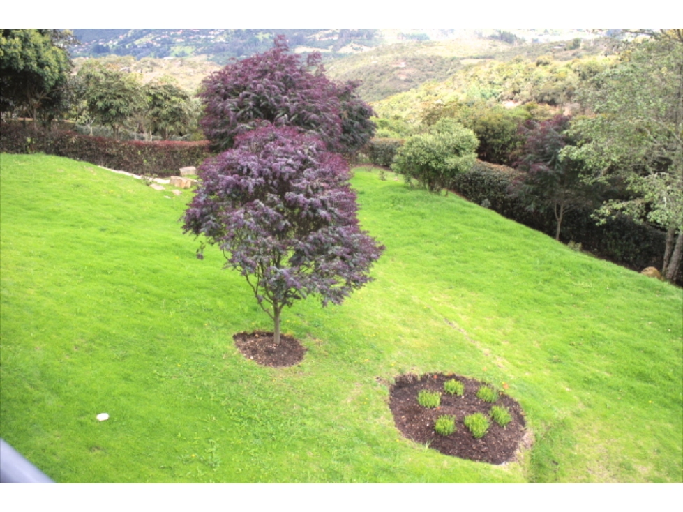Casa en arriendo en Paramo, La Calera · foto 22 de 24