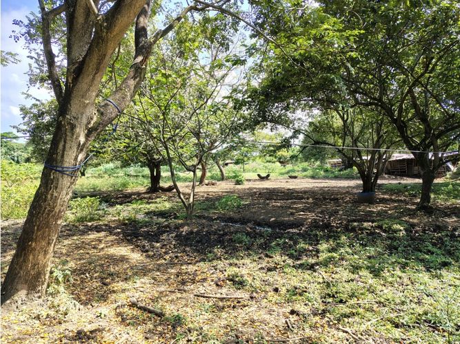 Lote en venta en Cascajal, Jamundí, 16160 m² · foto 2 de 11