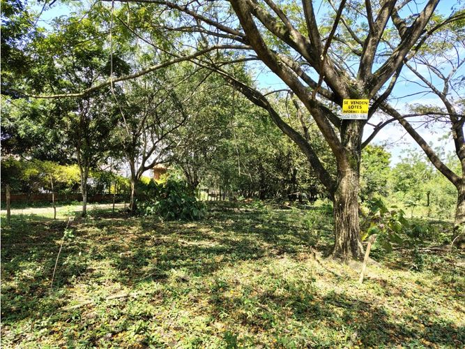 Lote en venta en Cascajal, Jamundí, 16160 m² · foto 3 de 11