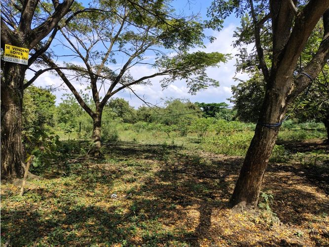 Lote en venta en Cascajal, Jamundí, 16160 m² · foto 5 de 11