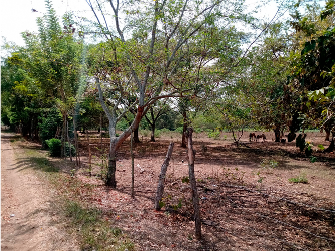Lote en venta en Cascajal, Jamundí, 16160 m² · foto 10 de 11