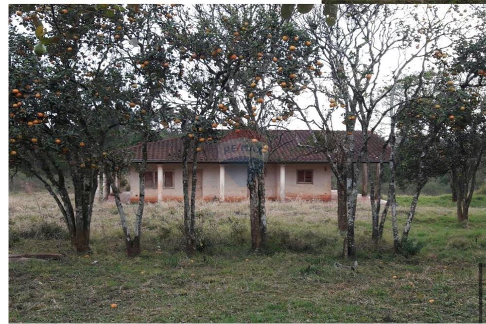 20 HECTAREAS SOBRE RUTA EN MINGA GUAZÚ EN VENTA — foto 2