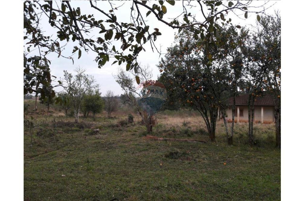 20 HECTAREAS SOBRE RUTA EN MINGA GUAZÚ EN VENTA — foto 3