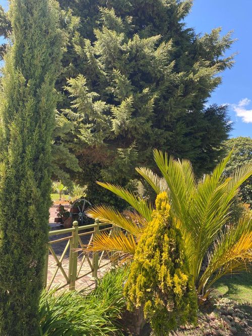 Casa de 4 alcobas en venta en Yerbabuena, Chía, 623 m² · foto 5 de 20