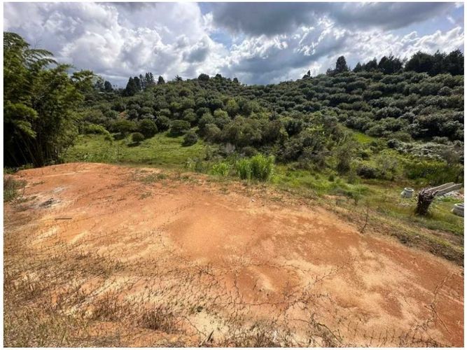 Lote en venta en San Antonio, Guarne, 1727 m² · foto 6 de 16