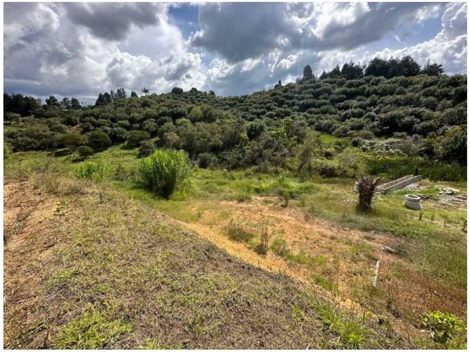 Lote en venta en San Antonio, Guarne, 1727 m² · foto 7 de 16