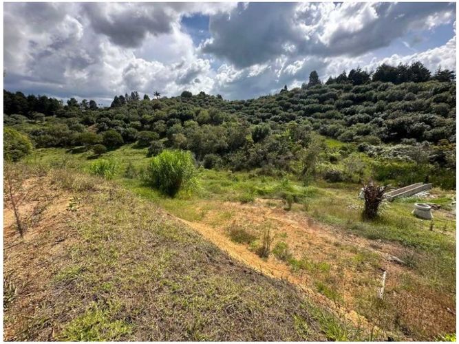 Lote en venta en San Antonio, Guarne, 1727 m² · foto 8 de 16
