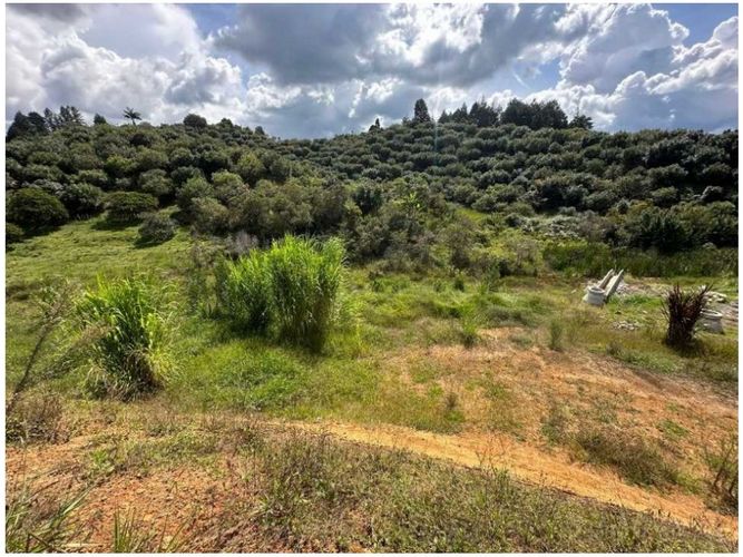 Lote en venta en San Antonio, Guarne, 1727 m² · foto 9 de 16