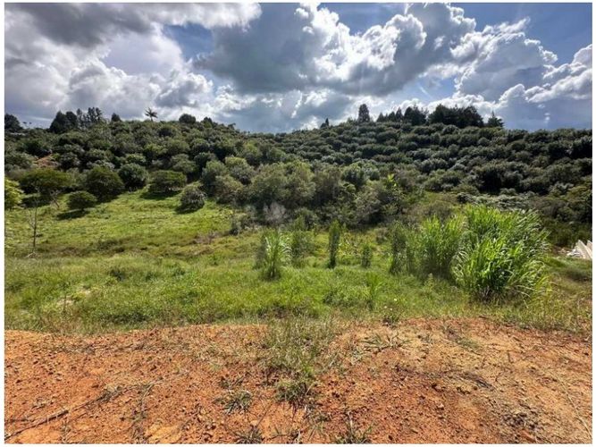 Lote en venta en San Antonio, Guarne, 1727 m² · foto 16 de 16
