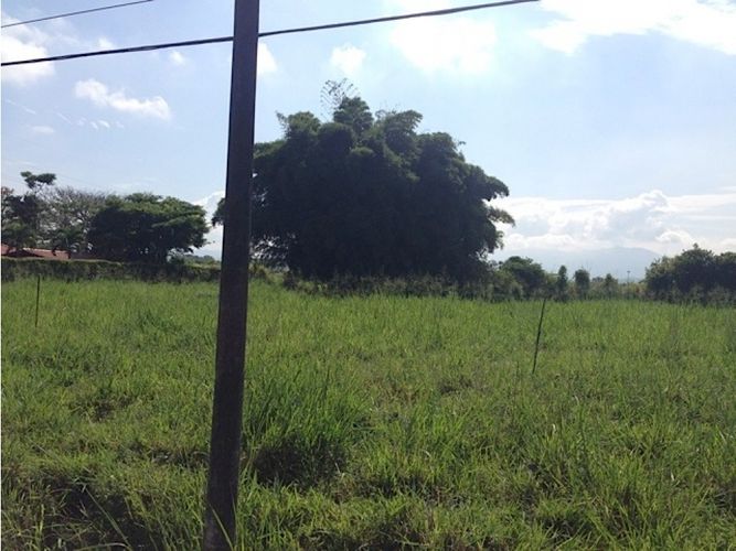 Lote en venta en Cerritos, Pereira, 2750 m² · foto 5 de 19