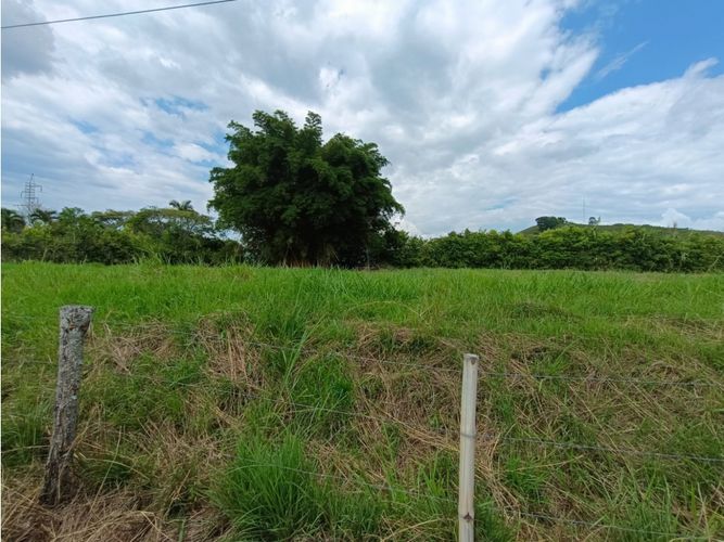 Lote en venta en Cerritos, Pereira, 2750 m² · foto 7 de 19