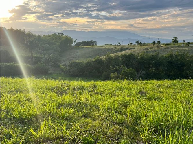 Lote en venta en Cerritos, Pereira, 7749 m² · foto 4 de 21