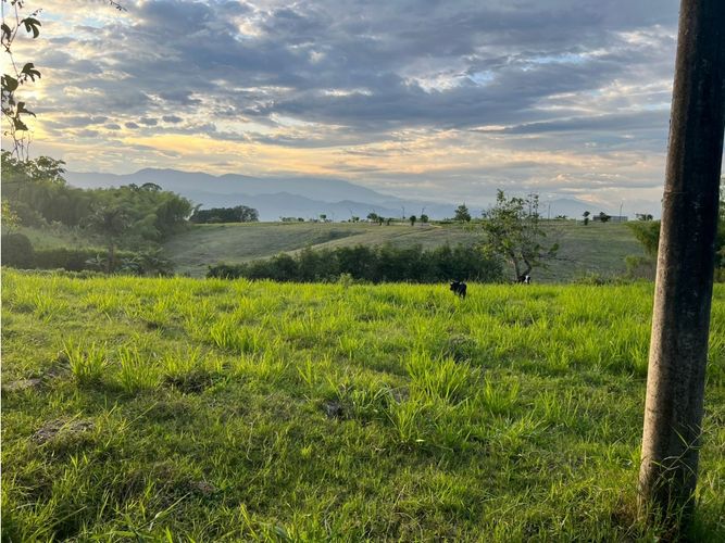 Lote en venta en Cerritos, Pereira, 7749 m² · foto 6 de 21