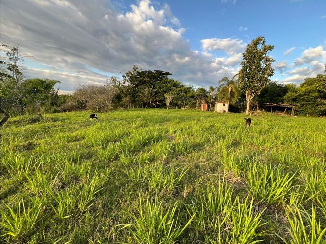 Lote en venta en Cerritos, Pereira, 7749 m² · foto 7 de 21