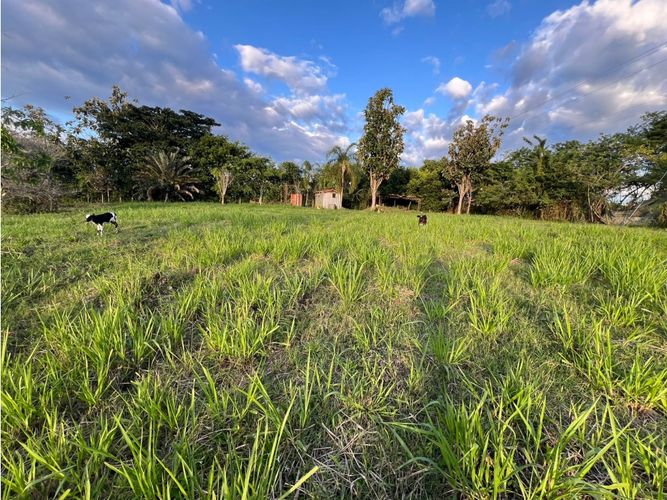Lote en venta en Cerritos, Pereira, 7749 m² · foto 8 de 21