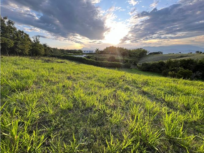 Lote en venta en Cerritos, Pereira, 7749 m² · foto 9 de 21