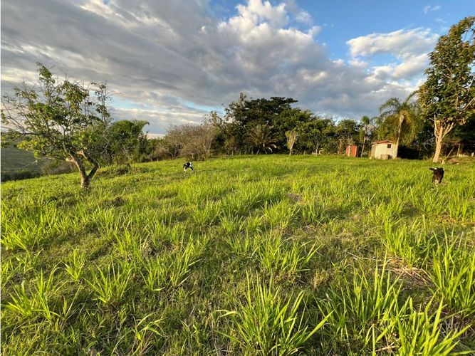 Lote en venta en Cerritos, Pereira, 7749 m² · foto 10 de 21