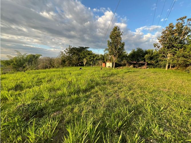 Lote en venta en Cerritos, Pereira, 7749 m² · foto 11 de 21