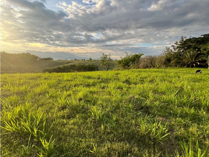 Lote en venta en Cerritos, Pereira, 7749 m² · foto 14 de 21