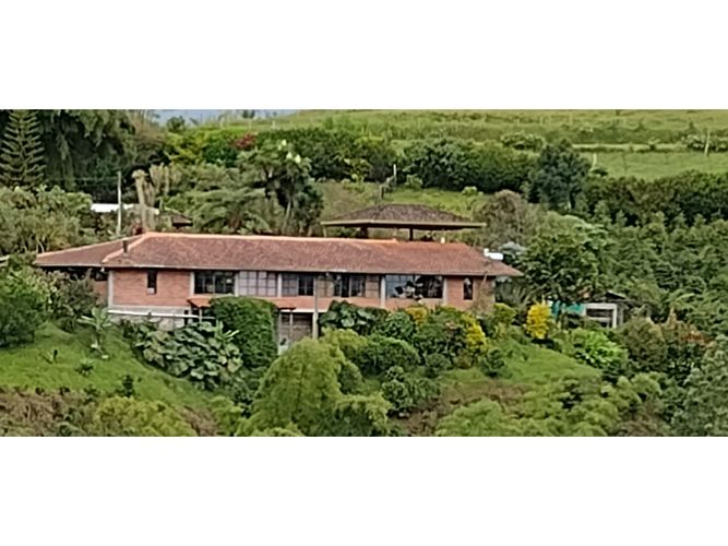 Finca en venta en La Florida, Pereira, 450 m² · foto 13 de 24