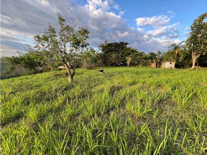Lote en venta en Cerritos, Pereira, 7749 m² · foto 16 de 21