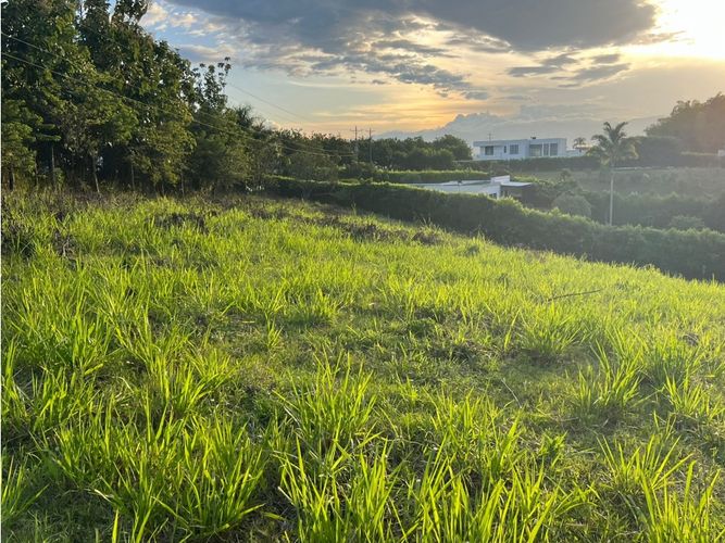 Lote en venta en Cerritos, Pereira, 7749 m² · foto 18 de 21