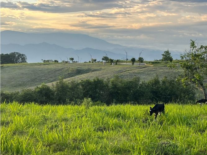 Lote en venta en Cerritos, Pereira, 7749 m² · foto 19 de 21