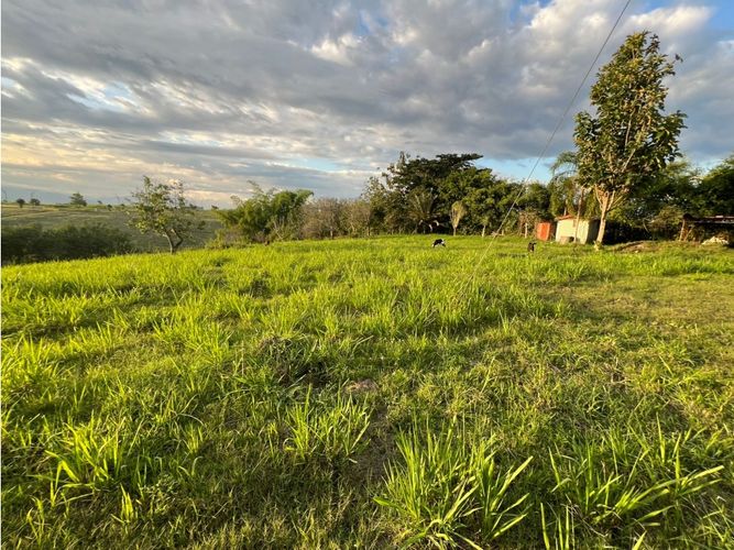 Lote en venta en Cerritos, Pereira, 7749 m² · foto 20 de 21