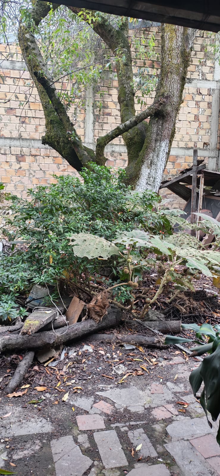 Casa en venta en Prado Veraniego, Bogotá · foto 11 de 12