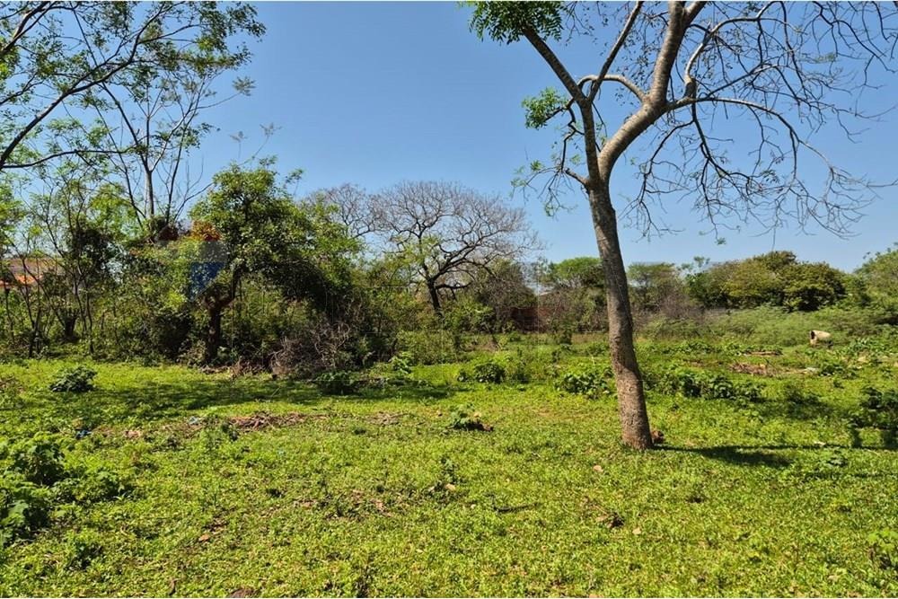AMPLIO TERRENO EN VENTA, LUQUE CAMINO A SAN BER. — foto 3