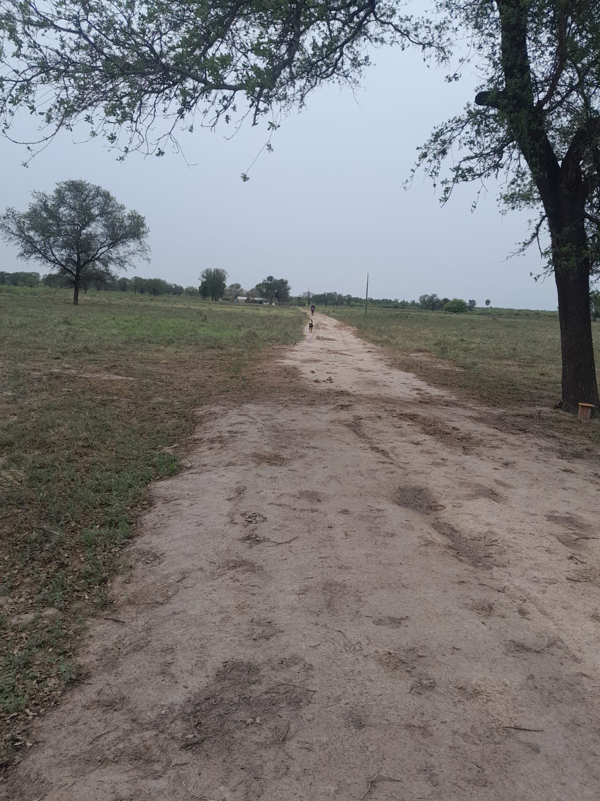 GRAN FINCA EN VENTA, PRESIDENTE HAYES ZONA RURAL 6.709 Has S.G — foto 3