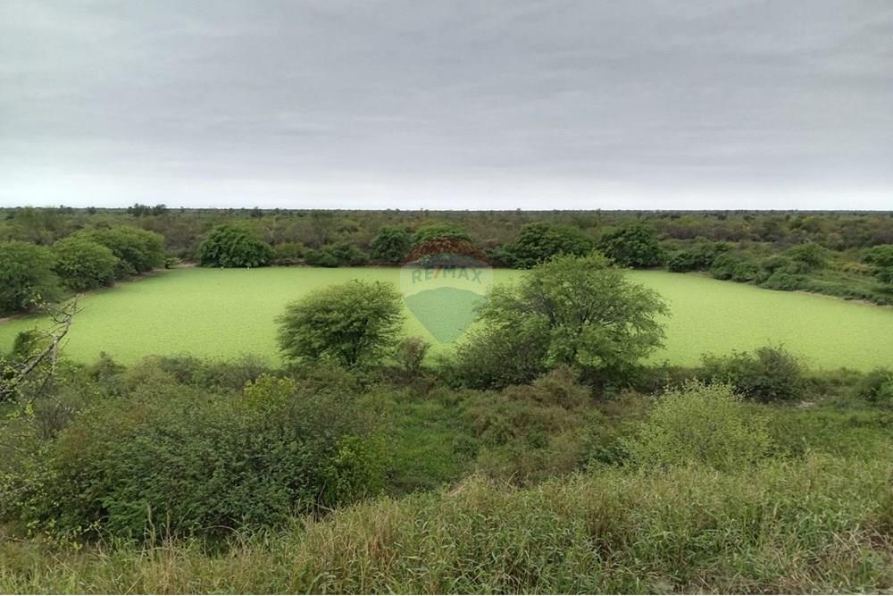Estancia en Venta en Fuerte Olimpo: Oportunidad Única de Inversión y Vida Rural — foto 2