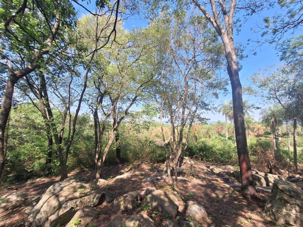 Exclusivas Hectáreas en Ciervo Cua: Inversión con Vistas Panorámicas al Lago. — foto 3