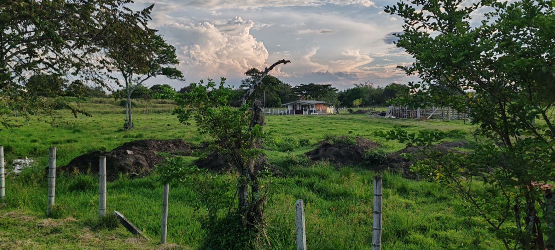 Lote en venta en San Isidro, Jamundí, 36500 m² · foto 3 de 8