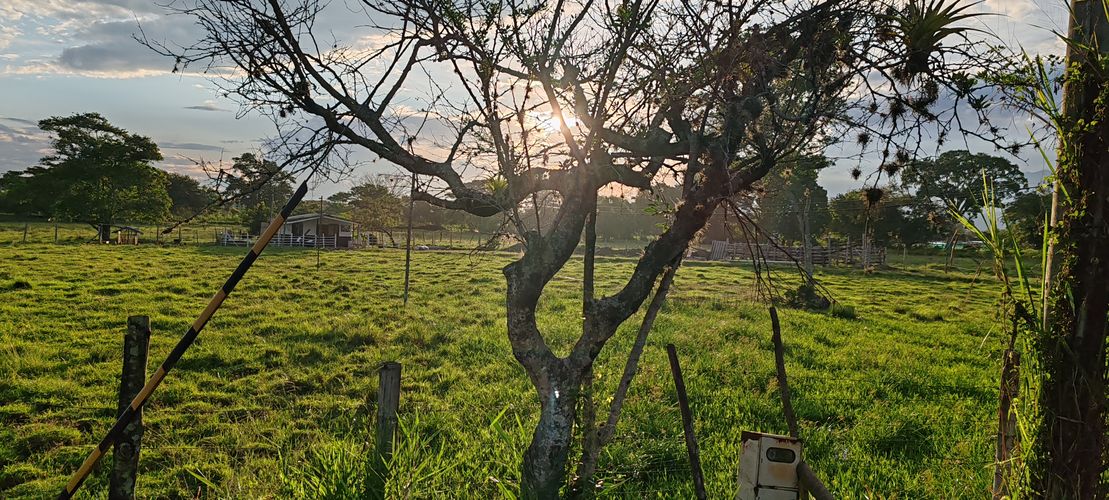 Lote en venta en San Isidro, Jamundí, 36500 m² · foto 5 de 8