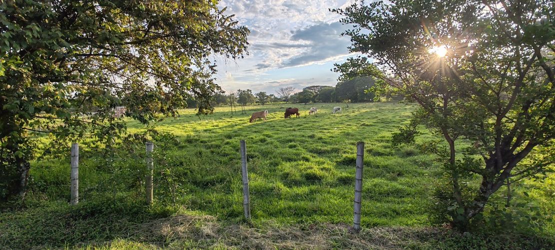 Lote en venta en San Isidro, Jamundí, 36500 m² · foto 7 de 8
