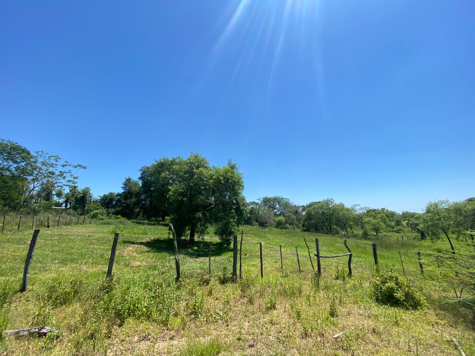 Vendo 8 lotes juntos en Limpio - Compañia Rincon — foto 2