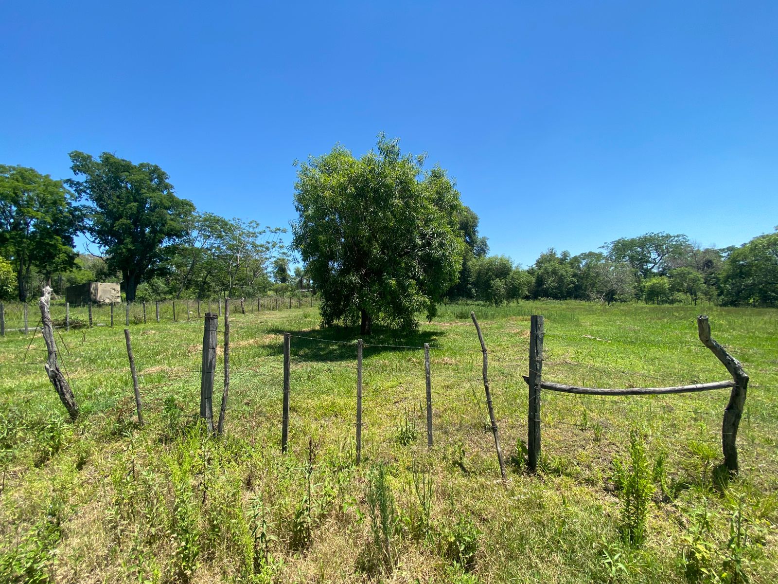 Vendo 8 lotes juntos en Limpio - Compañia Rincon — foto 3