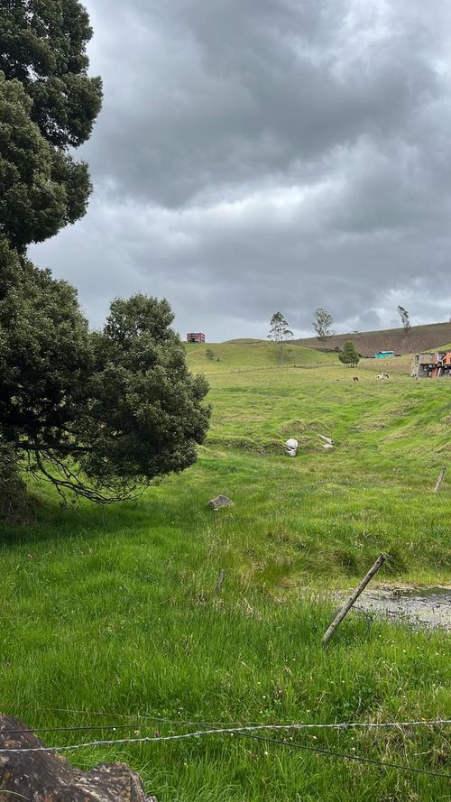 Lote en venta en Altamar, La Calera, 28500 m² · foto 4 de 6