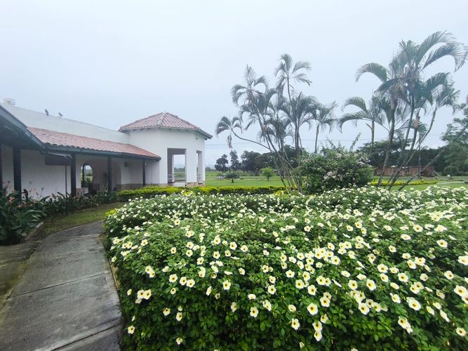Lote en venta en Paso De La Bolsa, Jamundí, 105 m² · foto 10 de 20
