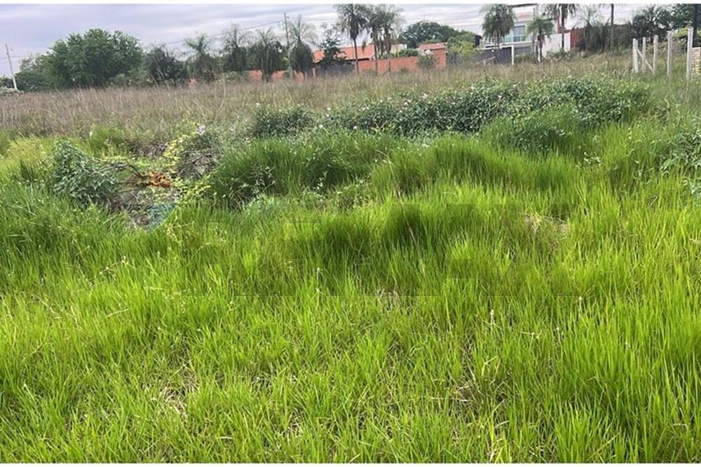 VENDO TERRENO EN PUERTA DEL LAGO - SAN BERNARDINO — foto 3