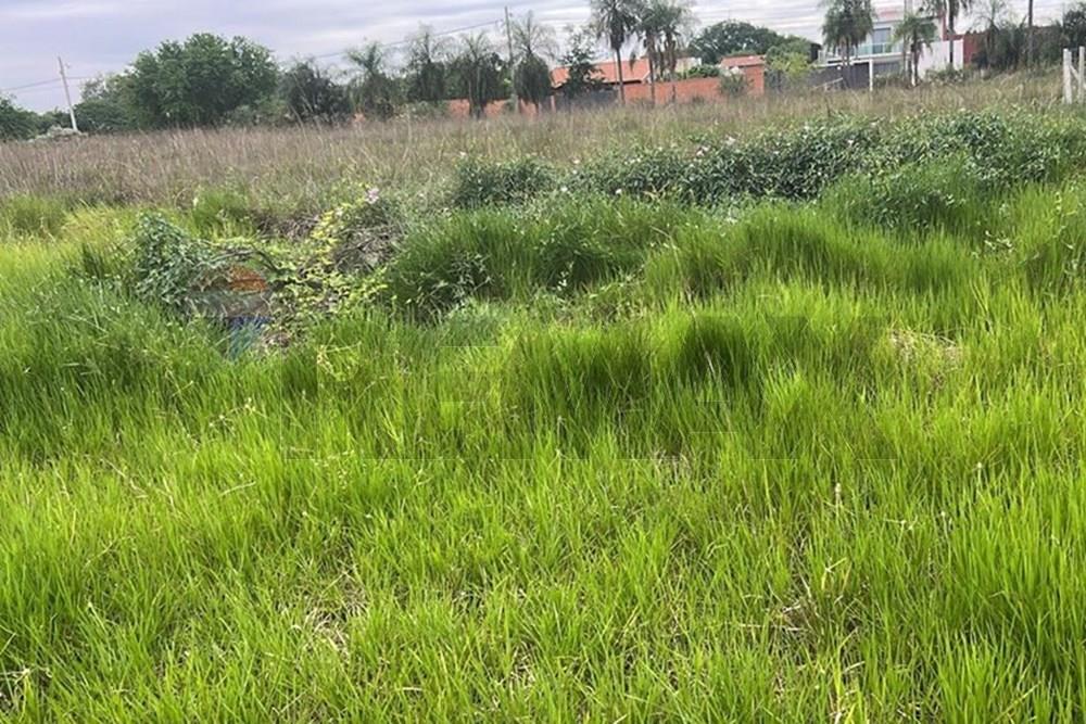 VENDO TERRENO EN PUERTA DEL LAGO - SAN BERNARDINO — foto 2