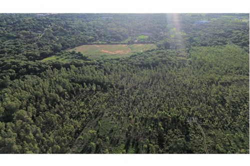 TERRENO EN ZONA ESTRATEGICA DE LUQUE EN VENTA — foto 2