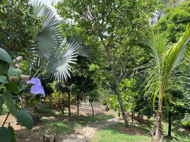 Casa de 3 alcobas en venta en Aguacatal, Cali, 400 m² · foto 15 de 24