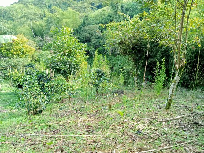 Lote en venta en Filobonito, Dosquebradas, 3800 m² · foto 3 de 9
