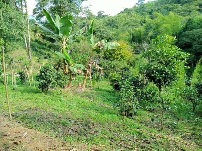 Lote en venta en Filobonito, Dosquebradas, 3800 m² · foto 4 de 9